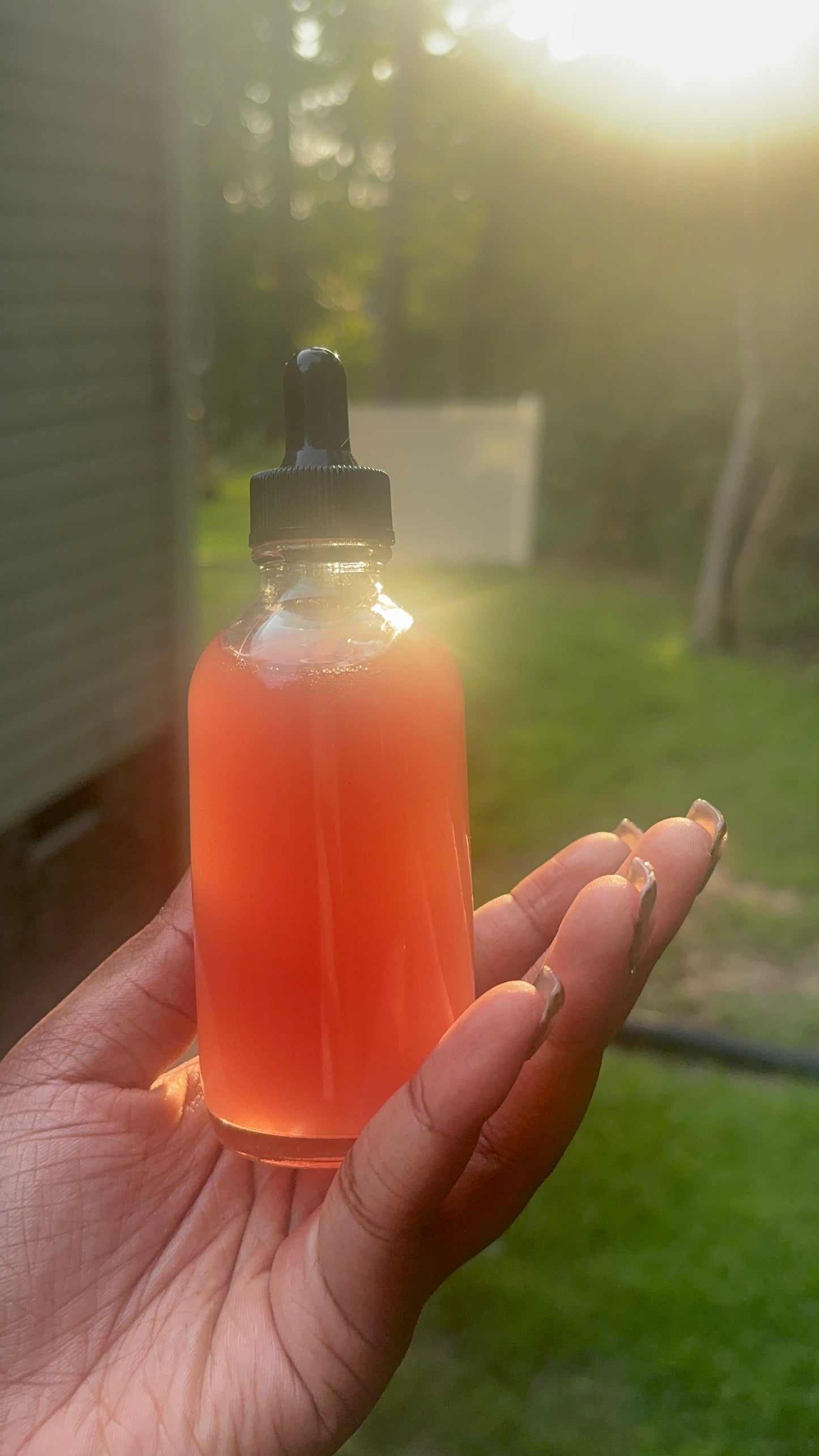 Oshun’s Rose-Double Infused Demask Rose Oil